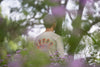 Sun Tee - Ocean & San Touring Shirt