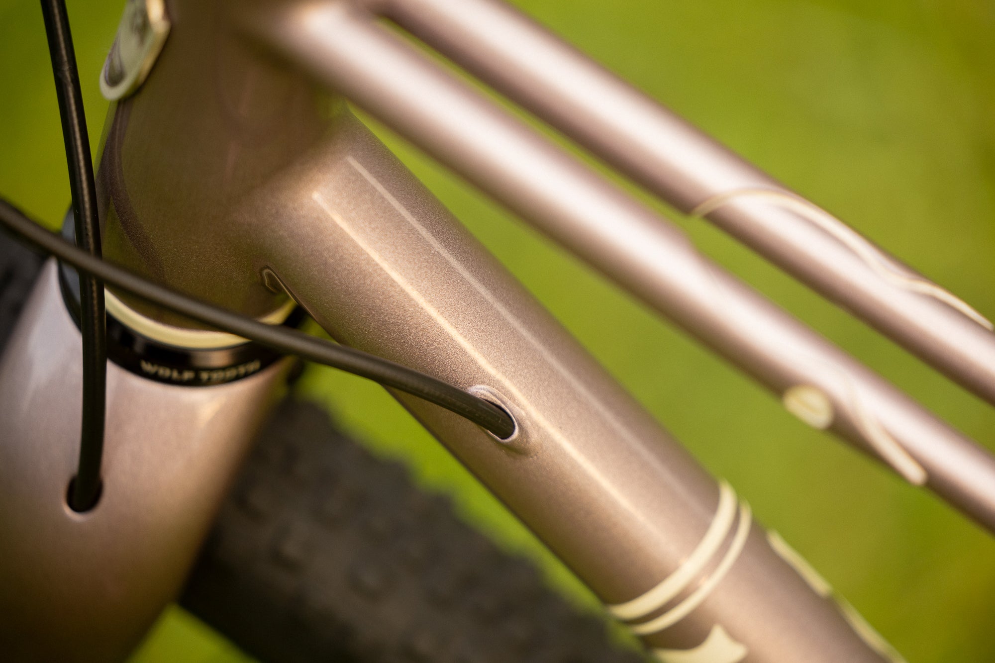 Earth Seed - Gravel Race Mixte – Wilde Bicycle Co.