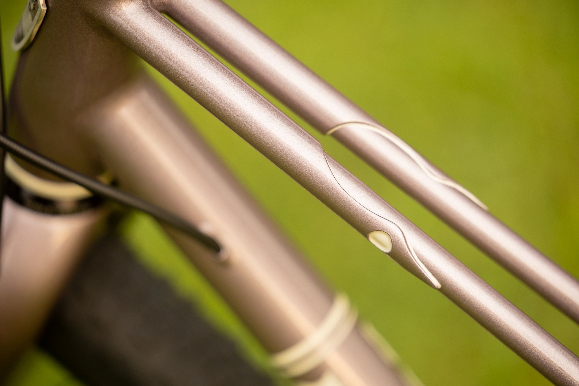 Earth Seed - Gravel Race Mixte – Wilde Bicycle Co.