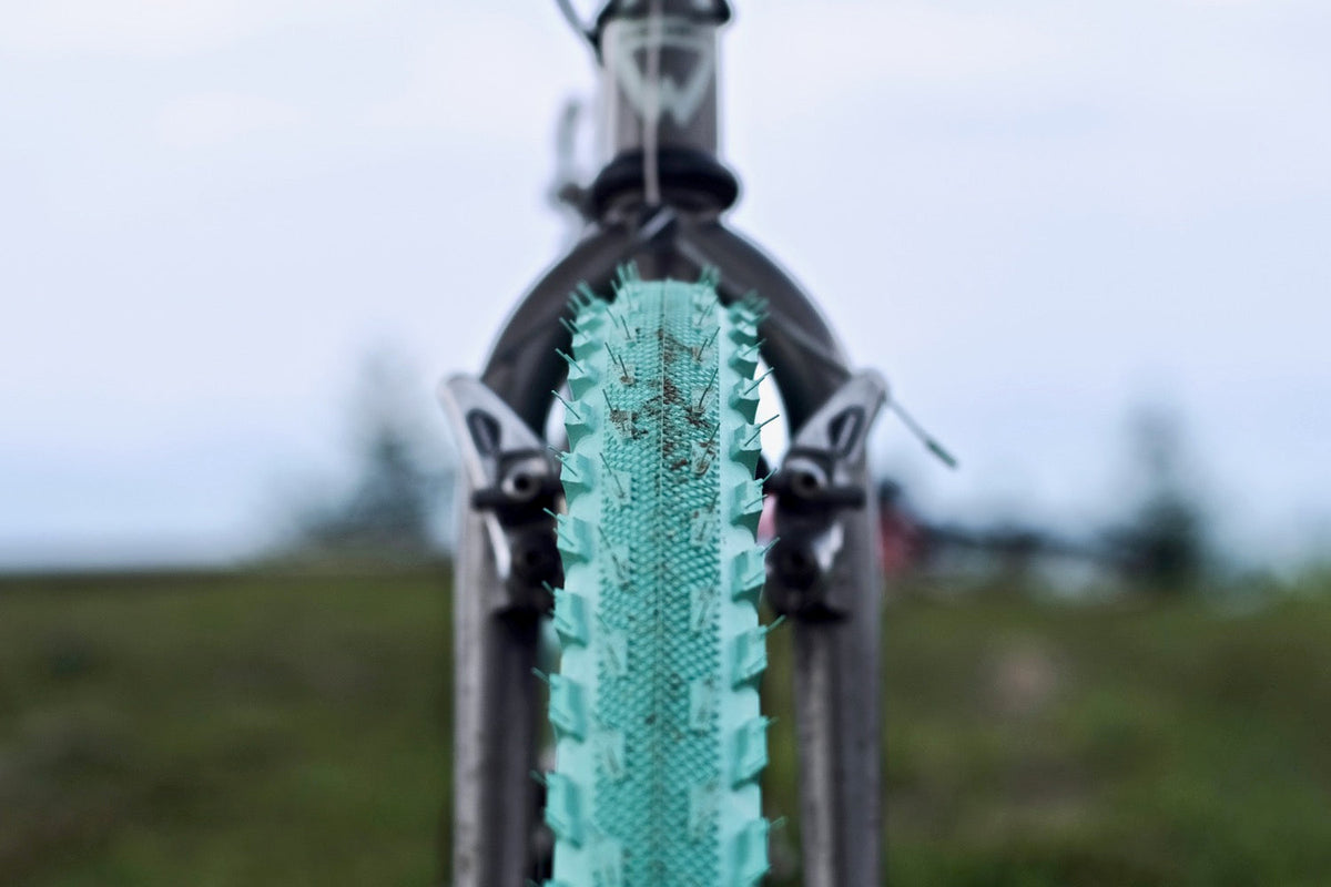The Homage 26" Tire