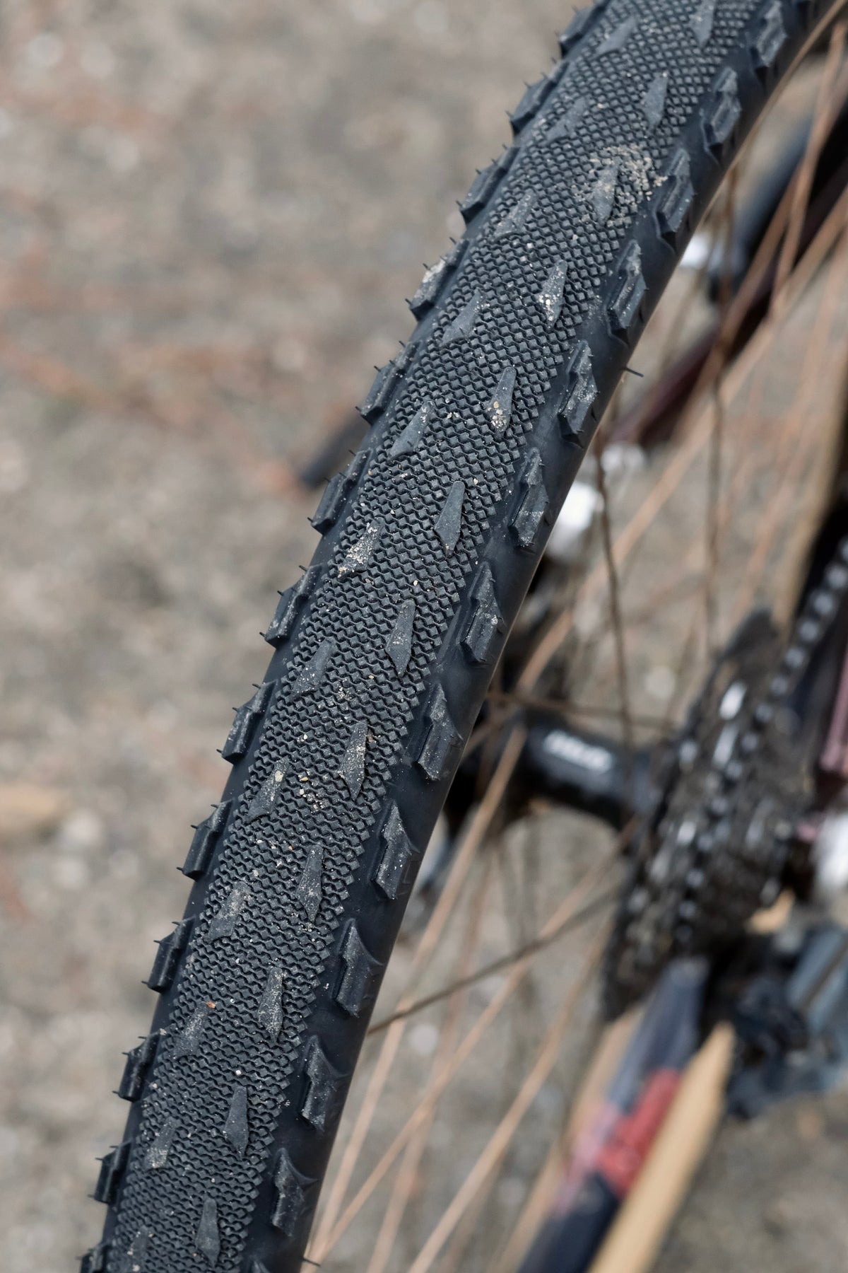 The Homage Tire TLC - 700c