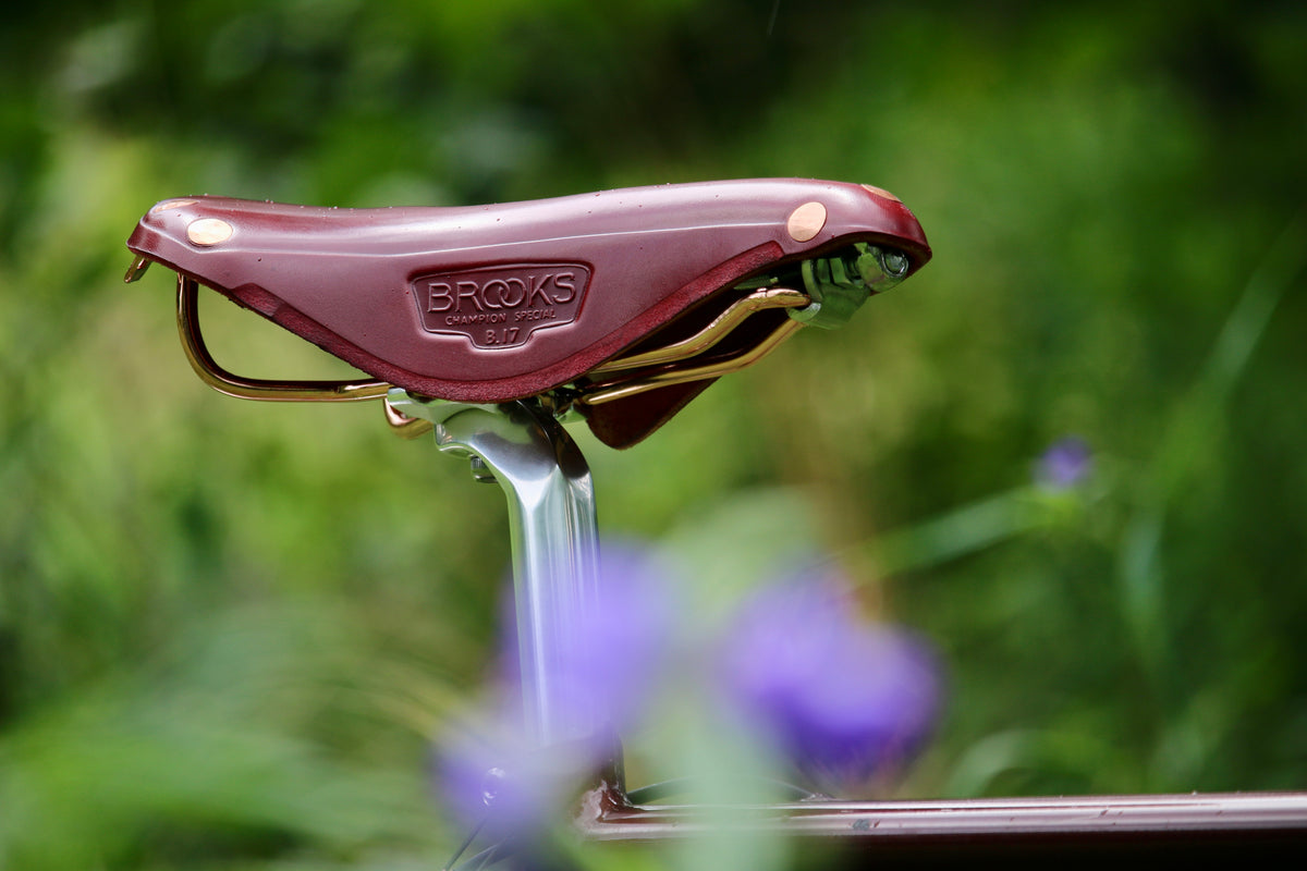 Wilde X Brooks B17 Special Bordeaux