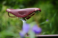 Wilde X Brooks B17 Special Bordeaux