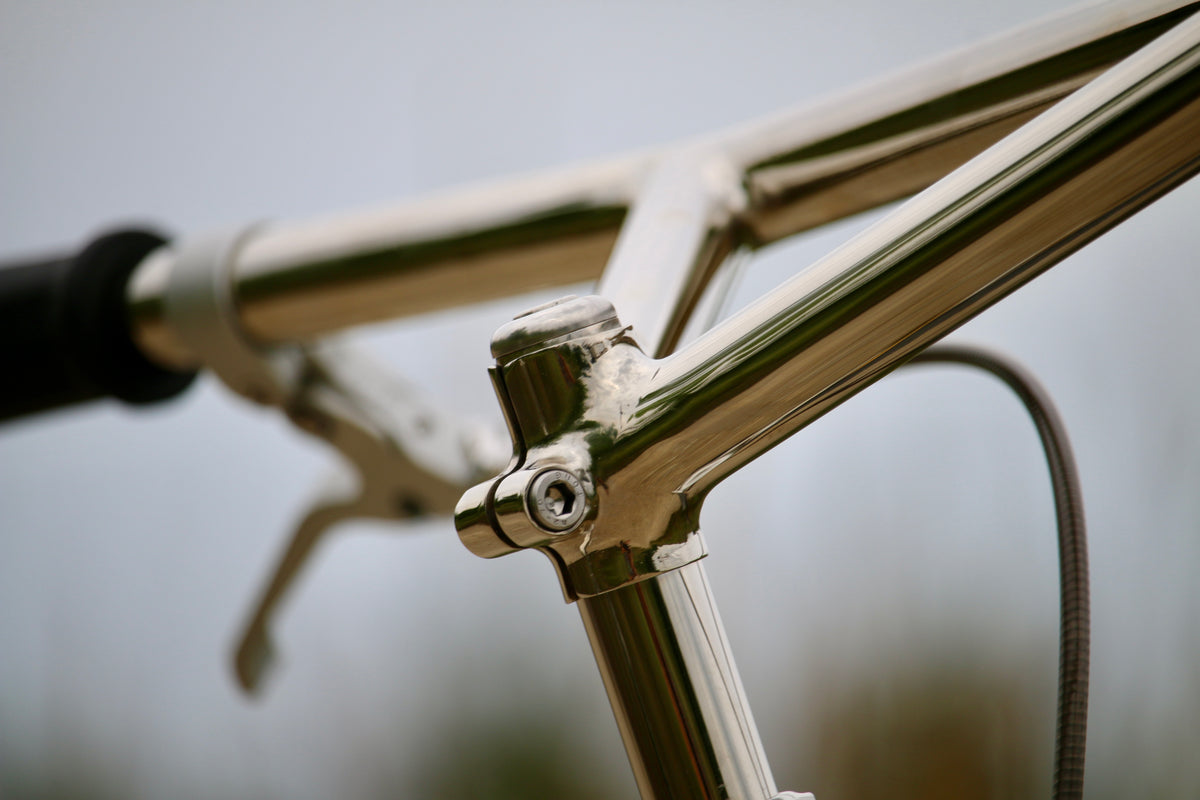 The Pleezer - Retro 29'er