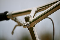 The Pleezer - Retro 29'er
