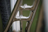 The Pleezer - Retro 29'er