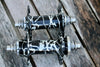 Wilde X Paul Zebra Splatter Ano Parts