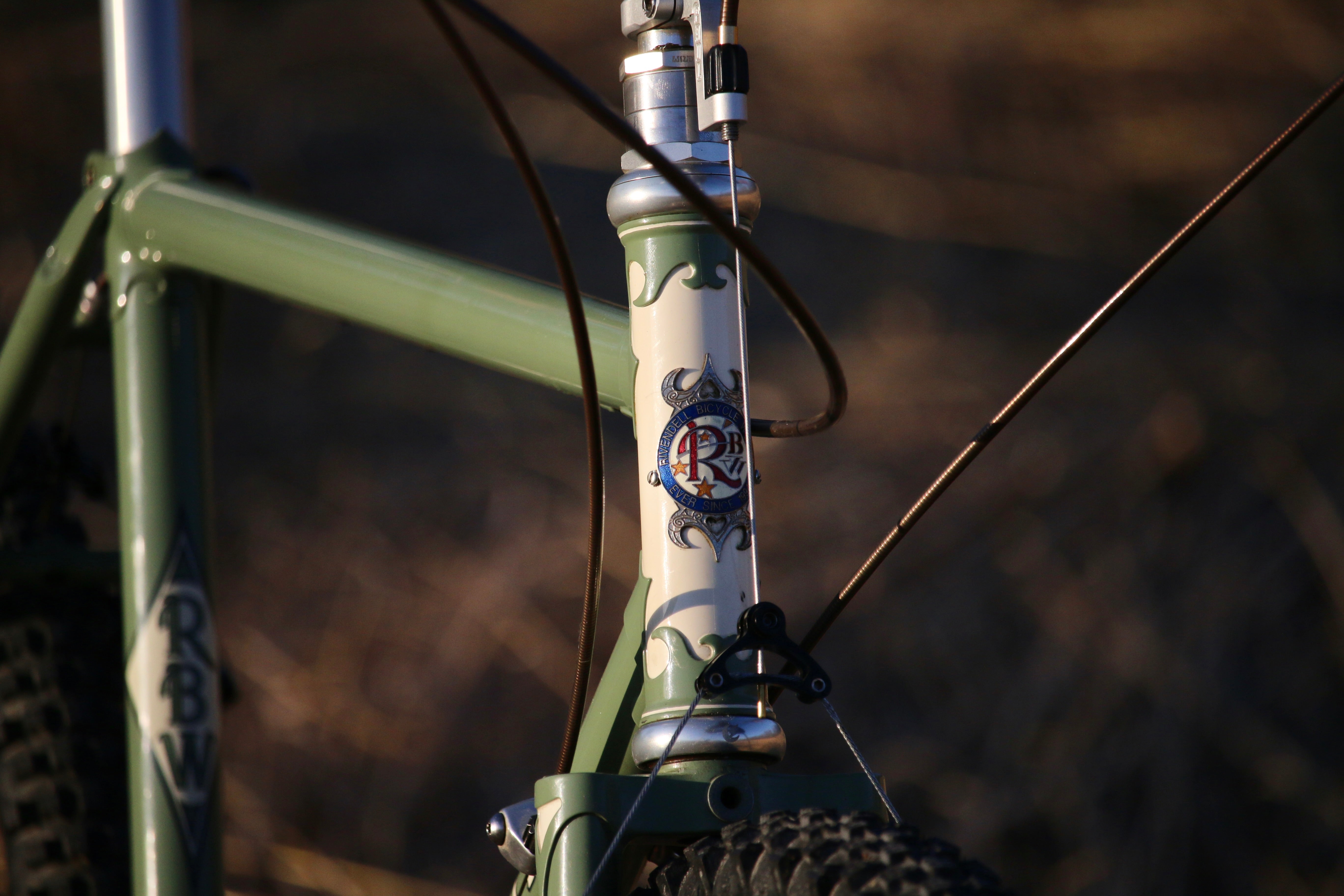 Cane Creek 110 ZN 1