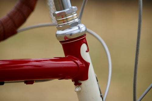 Cane Creek 110 ZN 1" Threaded Headset