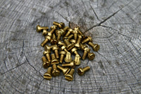 Blue Lug Brass Water Bottle Bolts