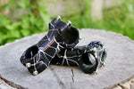 Wilde X Paul Zebra Splatter Ano Parts