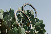 SimWorks x Tomii Cycles 'Faraway' Tire 700c