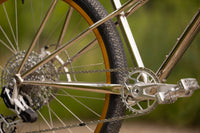 The Pleezer - Retro 29'er