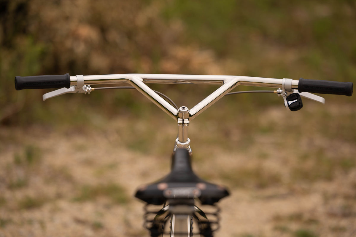 The Pleezer - Retro 29'er