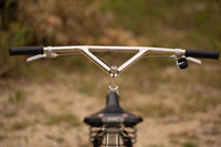 The Pleezer - Retro 29'er