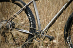 Dream Engine Titanium Frameset - Bikepacking