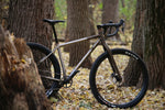 Dream Engine Titanium Frameset - Bikepacking
