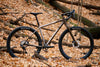 Dream Engine Titanium Frameset - Bikepacking