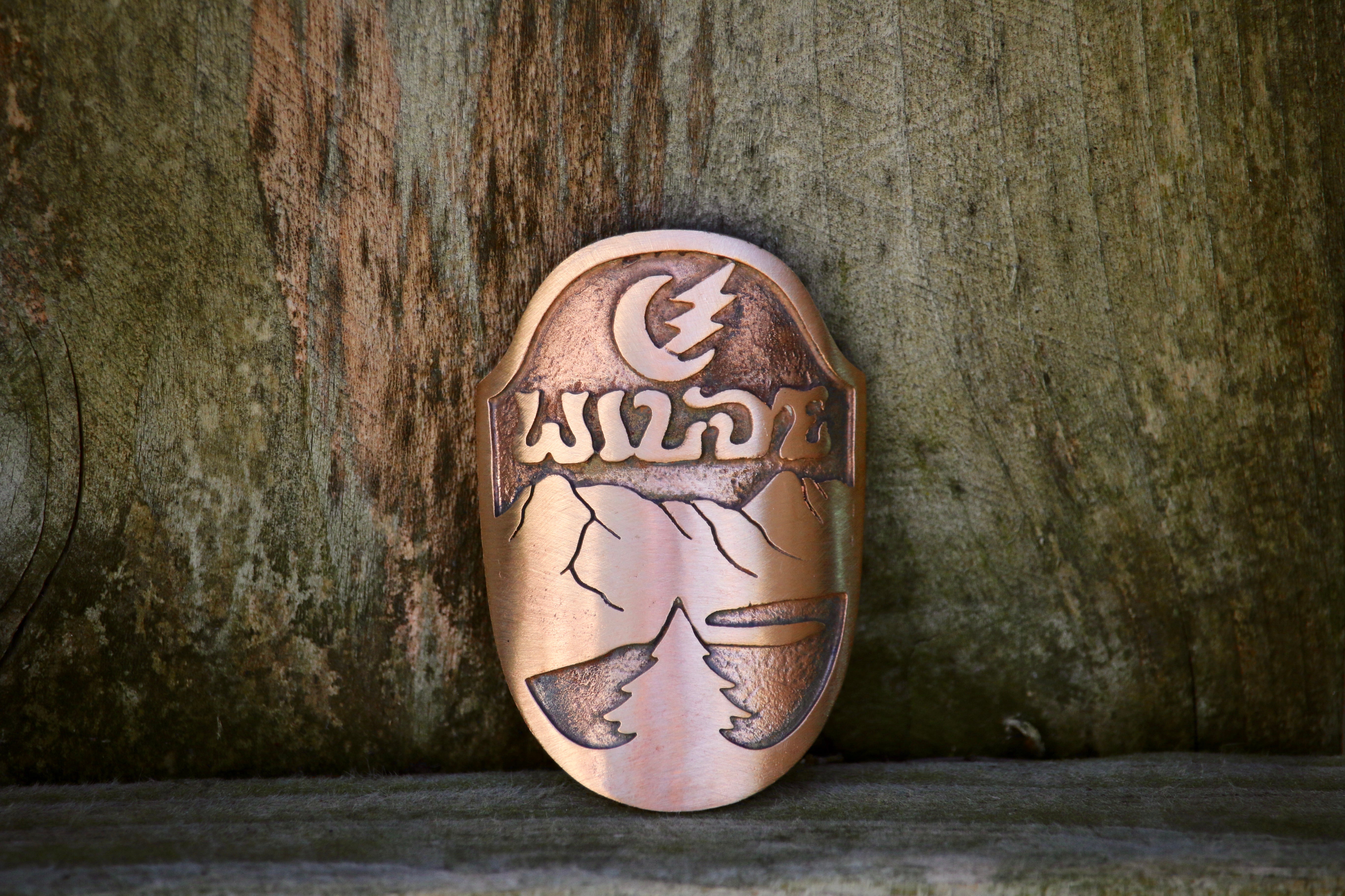 激レア　Small Atala head badge Jen Green Headbadge – Wilde Bicycle Co.